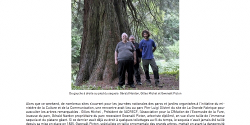 Le toilettage des arbres géants programmé