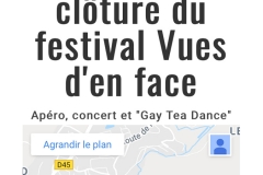 Festival-Vues-d-en-Face