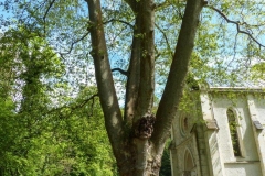 Renage la grande fabrique et sa chapelle Le 30 avril 2017 (19)